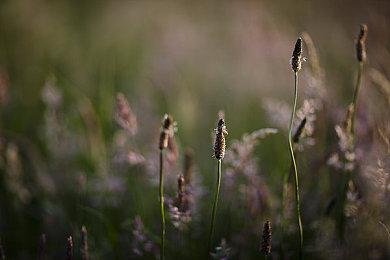 《我的孩子勒本斯伯恩 重制版》Steam页面上线 支持简中